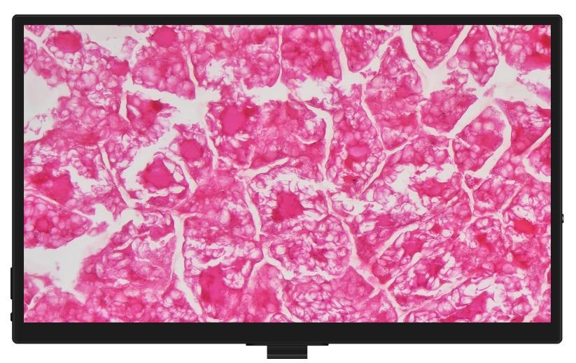 Универсальная камера серии AIOCAM4K