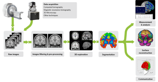Программное обеспечение для 3D-просмотра и анализа AMIRA 